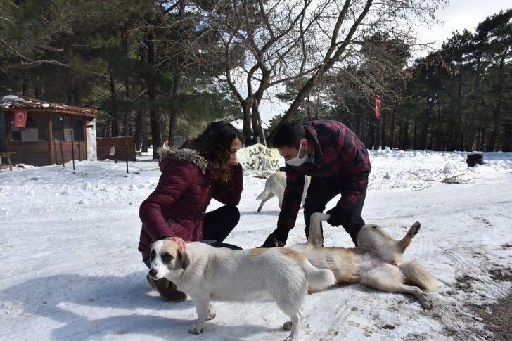 Edremit Belediyesi soğuk havalarda sokak hayvanlarının yanında G4