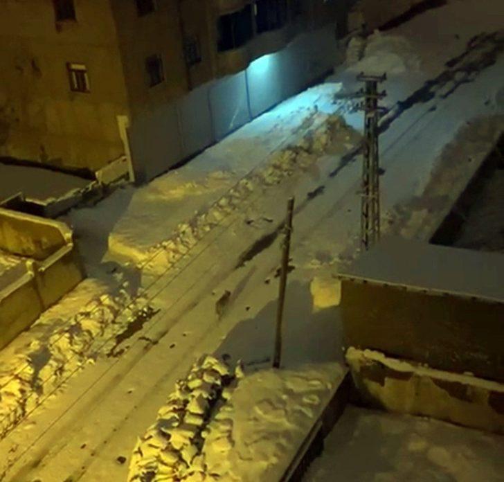 Yüksekova’da 6 gündür aranan kurt, boş sokakta gezerken görüntülendi G2