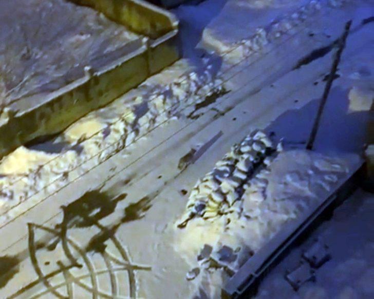 Yüksekova’da 6 gündür aranan kurt, boş sokakta gezerken görüntülendi G3