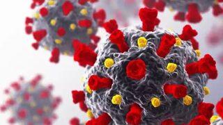 ABD'de Güney Afrika’dan çıkan mutasyonuna karşı virüs üretildi