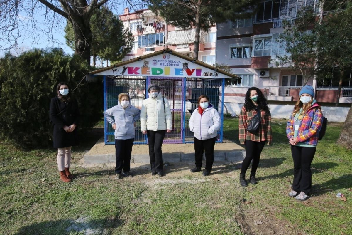 Sel&ccedil;uk&rsquo;ta Kediler G&uuml;n&uuml;&rsquo;nde can dostlarına kedi evi