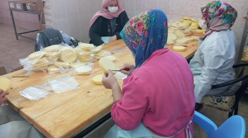 Iğdır&rsquo;da s&uuml;t ve s&uuml;t &uuml;r&uuml;nleri tesisi denetlendi