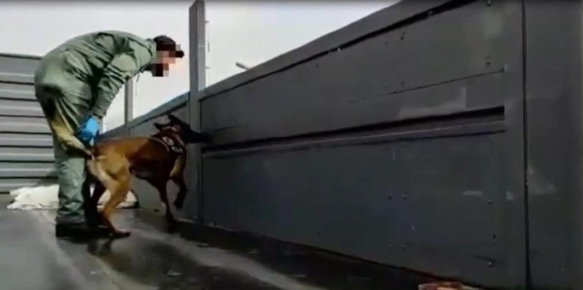 Dorsenin yan kapaklarının i&ccedil;erisine gizlenen eroin Boby&rsquo;e takıldı