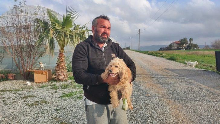 Elinde tüfekle köpeği kovalarken yakalandı, köpek sahibine etmediği hakaret kalmadı G3