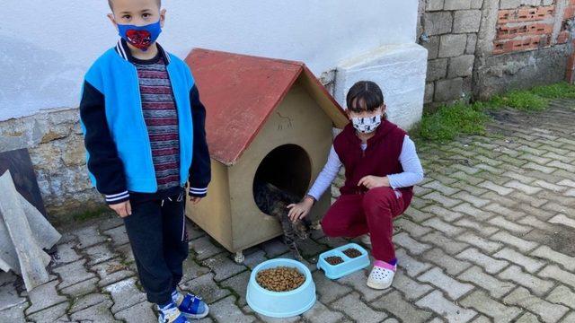 Burhaniye Belediyesi küçük Yaren’i sevindirdi