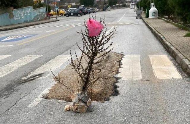 Vatandaştan Belediyeye mizahi gönderme