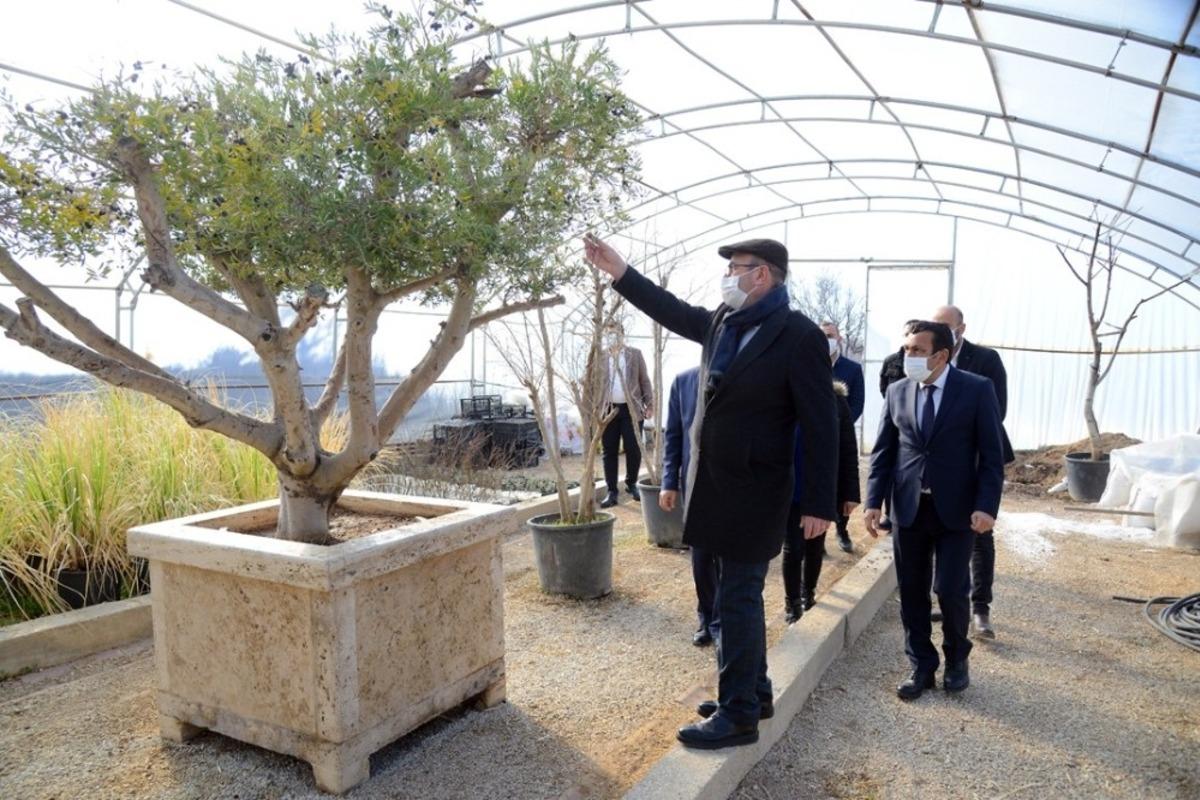 Kırşehir Belediyesi seralarda &ccedil;i&ccedil;ek &uuml;retiyor