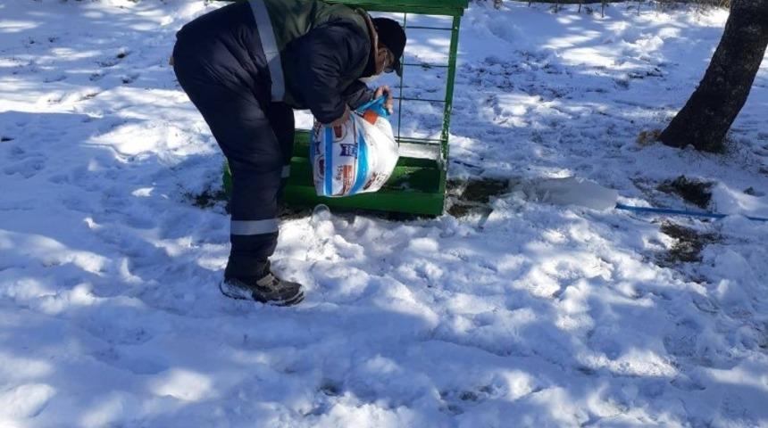 Kulu’da sokak hayvanları unutulmadı