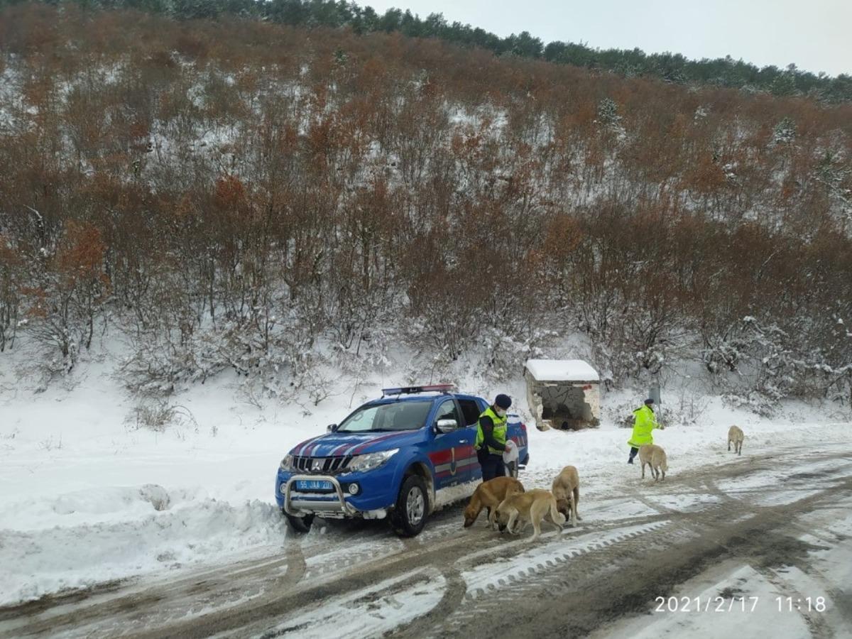 Jandarma can dostları unutmadı
