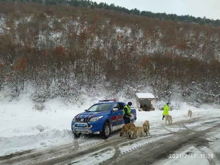 Jandarma can dostları unutmadı G1