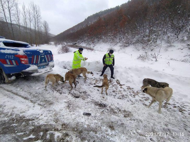 Jandarma can dostları unutmadı G2