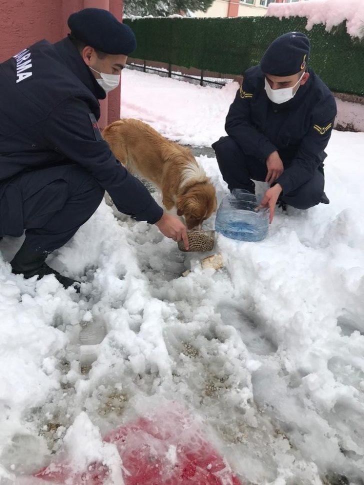 Jandarma can dostları unutmadı G4