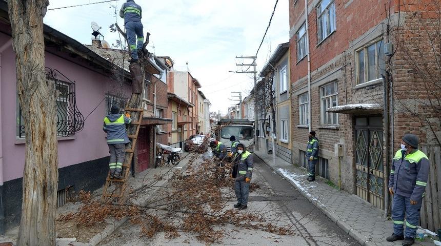 Tepebaşı&rsquo;nda ağa&ccedil; budama &ccedil;alışmaları s&uuml;r&uuml;yor