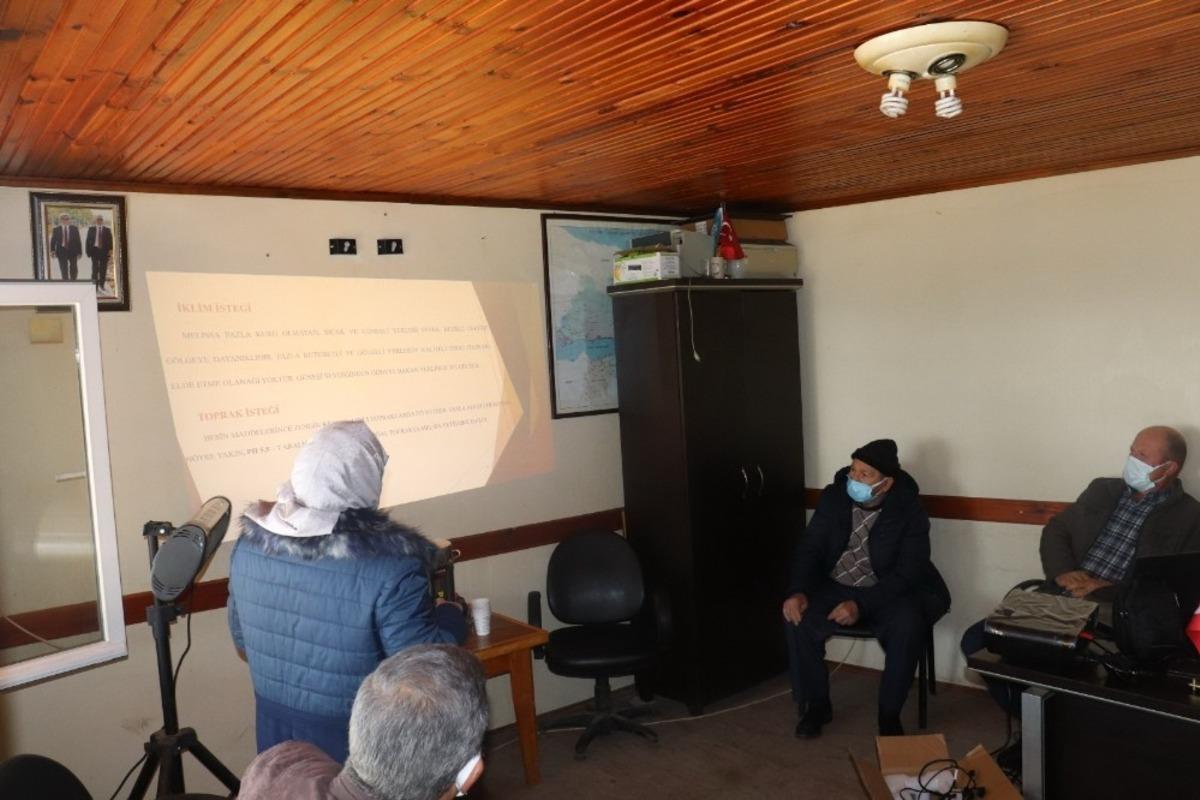 Karam&uuml;rsel&rsquo;in k&ouml;ylerinde &rsquo;melisa&rsquo; bitkisi yetiştirilecek