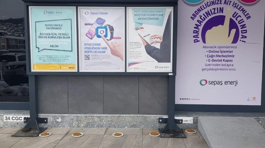 Sepaş Enerji sokak hayvanları için mama bıraktı