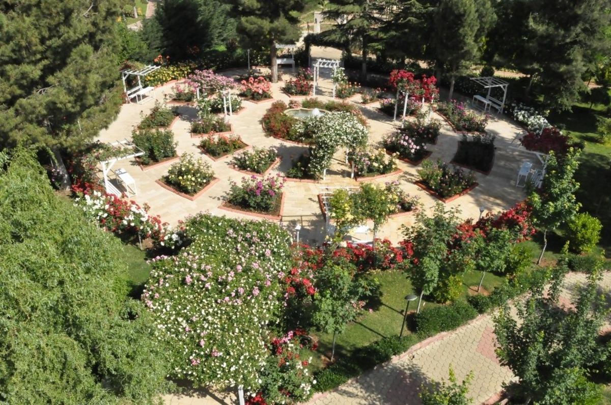 Botanik &ccedil;alıştayı i&ccedil;in başvurular 5 Mart&rsquo;a kadar devam edecek
