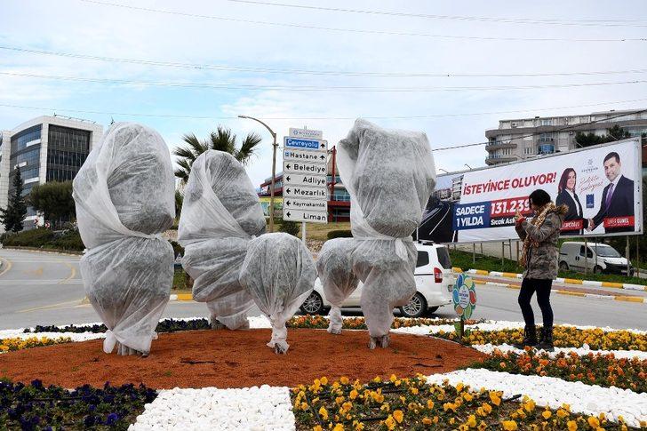 Ağaçları dona karşı elyafla korudular G1