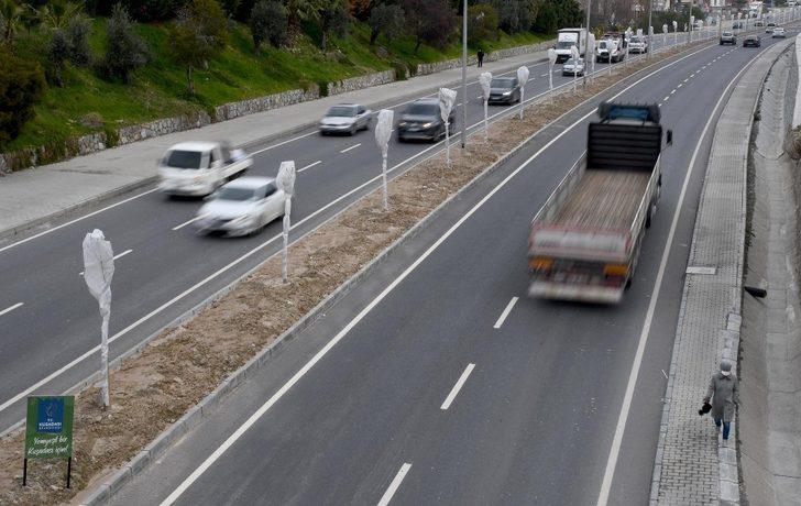 Ağaçları dona karşı elyafla korudular G5