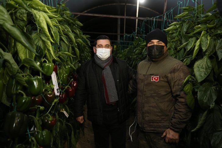 Tütüncü’den serada zirai don nöbeti G3