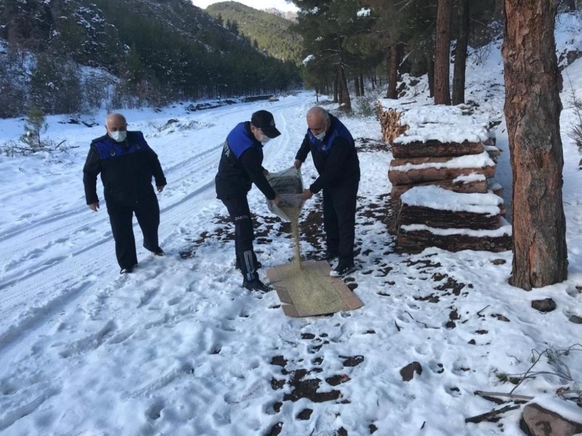 Osmancık Belediyesi sokak hayvanlarını unutmadı