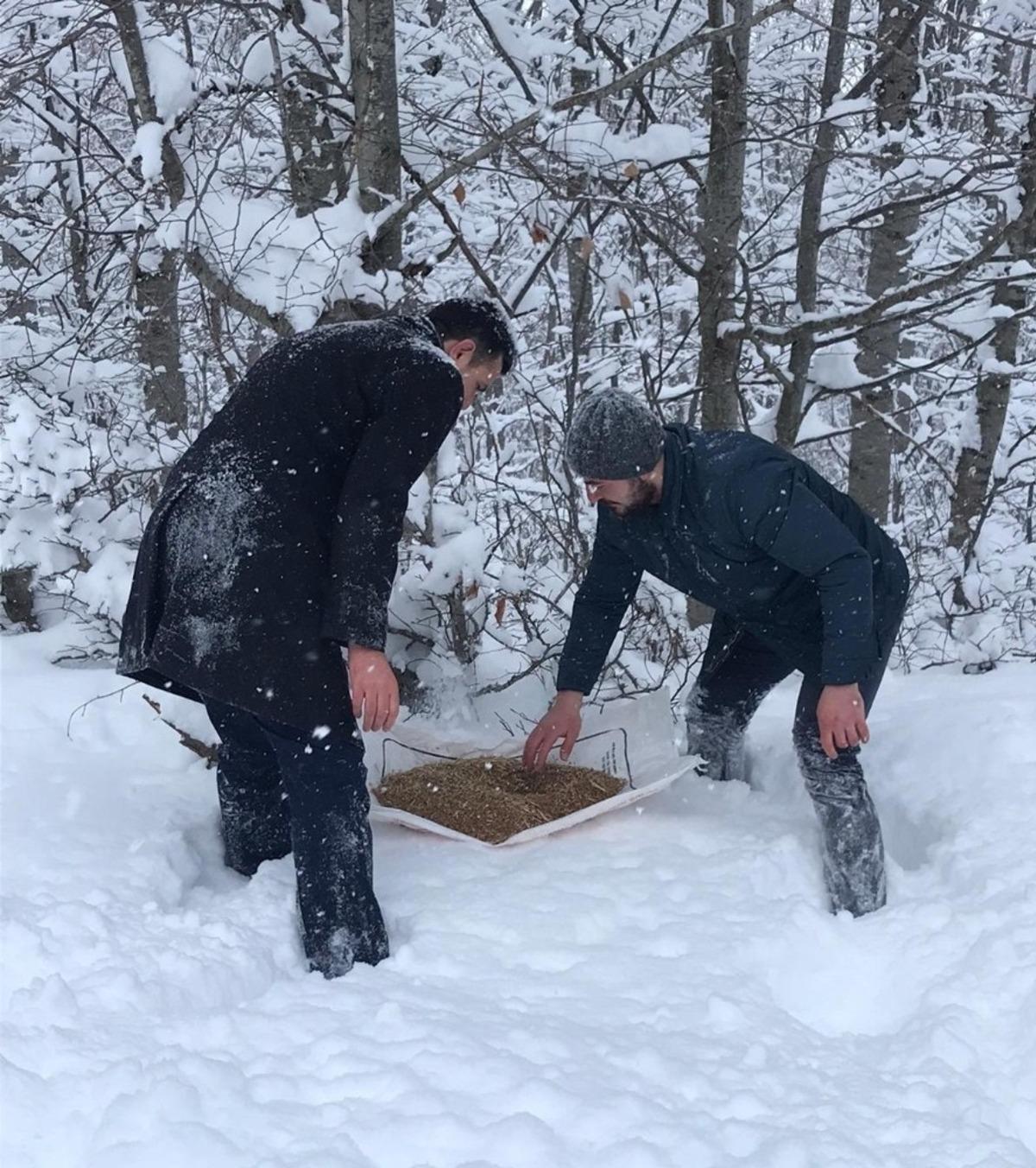 Yaban hayvanları i&ccedil;in doğaya yem bırakıldı