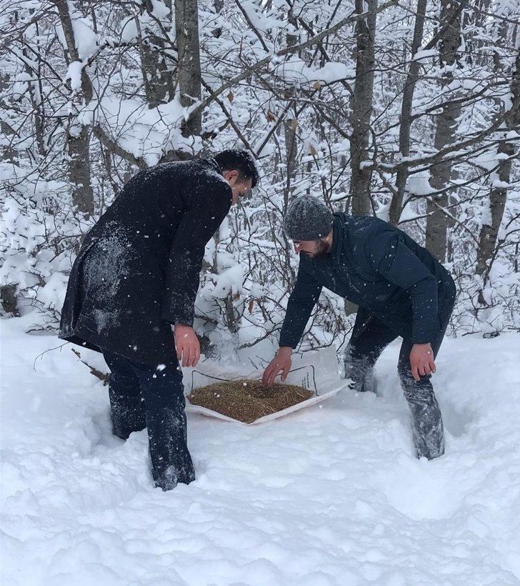 Yaban hayvanları için doğaya yem bırakıldı G1
