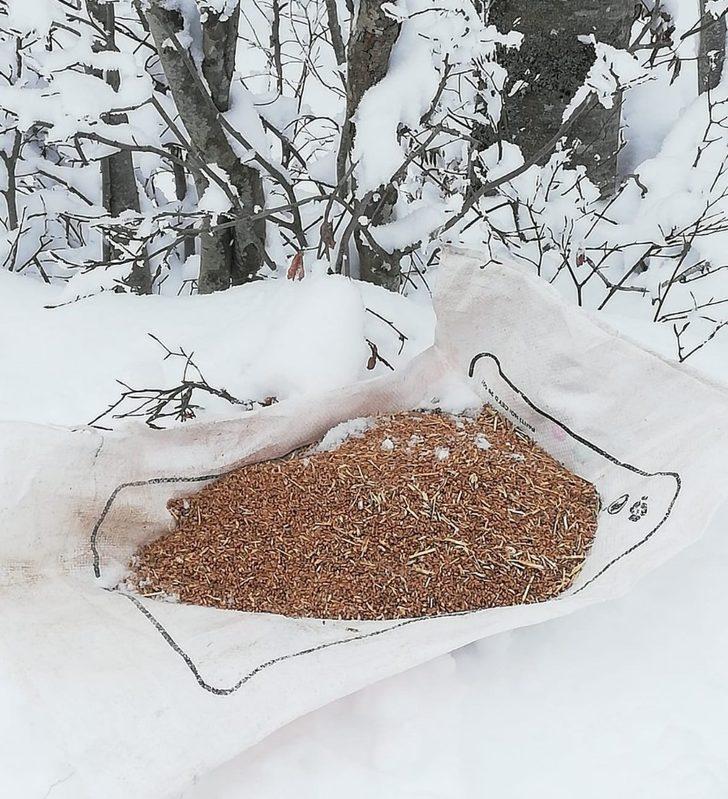 Yaban hayvanları için doğaya yem bırakıldı G3