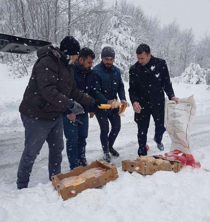 Yaban hayvanları için doğaya yem bırakıldı G4