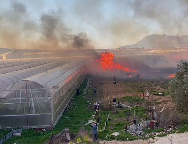 Büyükşehir, yangında serası zarar gören üreticiye destek verecek G1