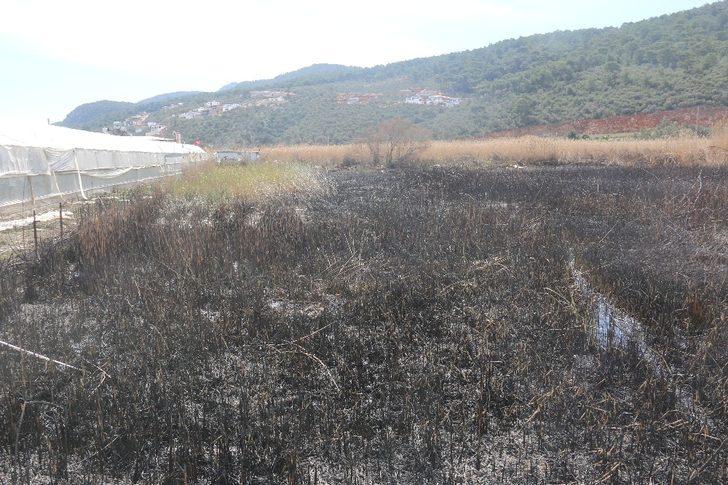 Büyükşehir, yangında serası zarar gören üreticiye destek verecek G3