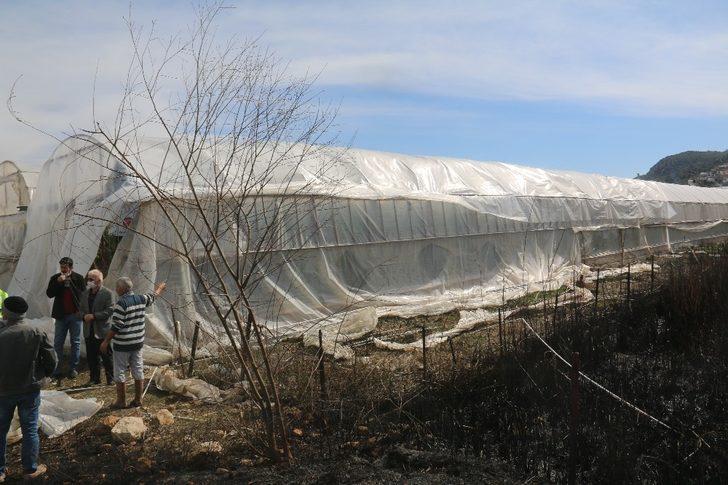 Büyükşehir, yangında serası zarar gören üreticiye destek verecek G4