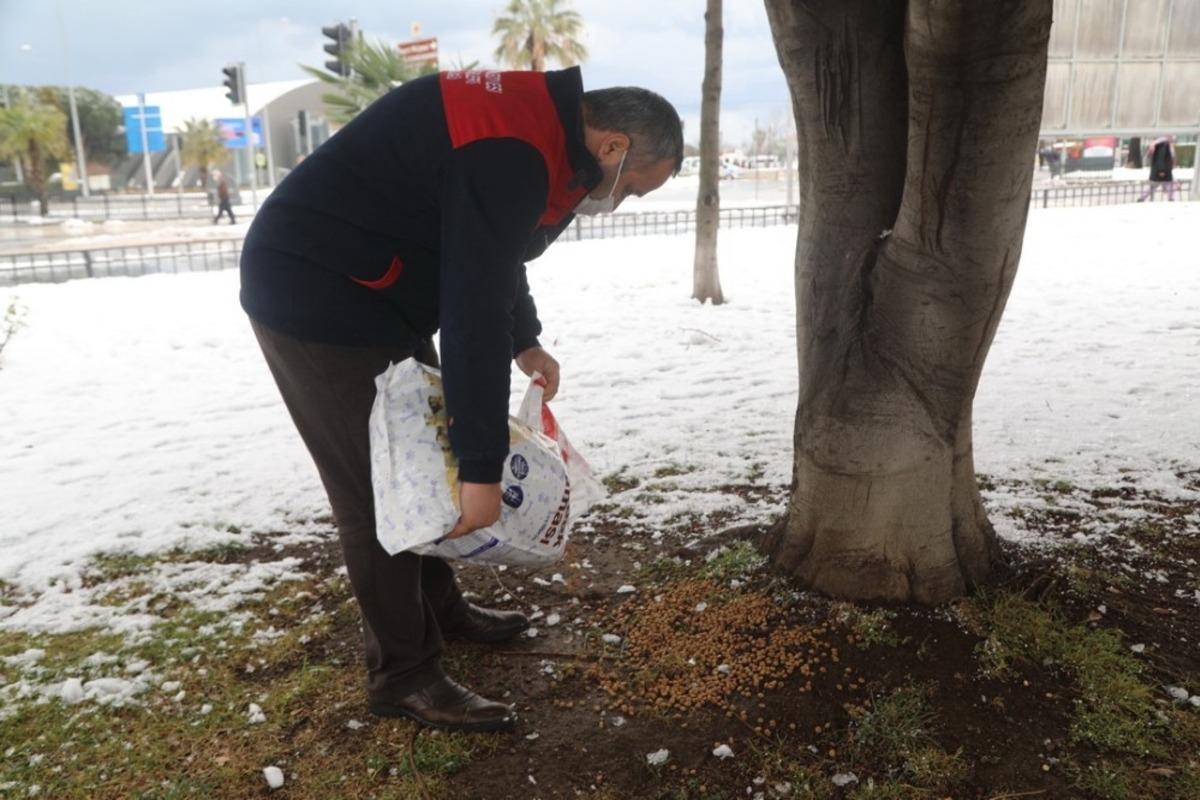 İlkadım&rsquo;da can dostları unutulmadı