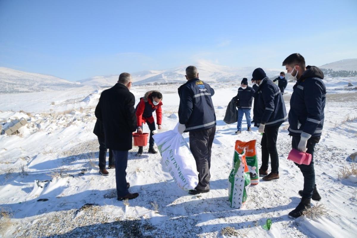 Kırşehir Belediyesi&rsquo;nden yaban hayvanlarına mama ve kul&uuml;be