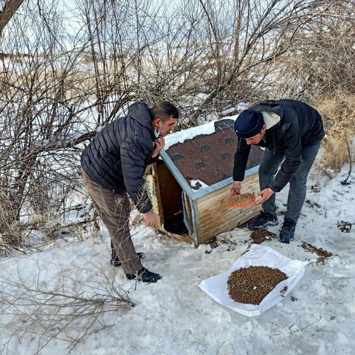 Kırşehir Belediyesi’nden yaban hayvanlarına mama ve kulübe G4