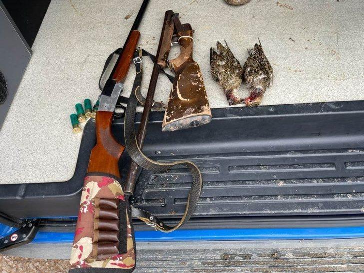 Koruma altındaki altın yağmurcun kuşlarını avladılar G3