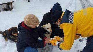 Bakan Koca, yaralı köpeğe müdahale eden paramedik Mustafa Baran'ın fotoğrafını paylaştı