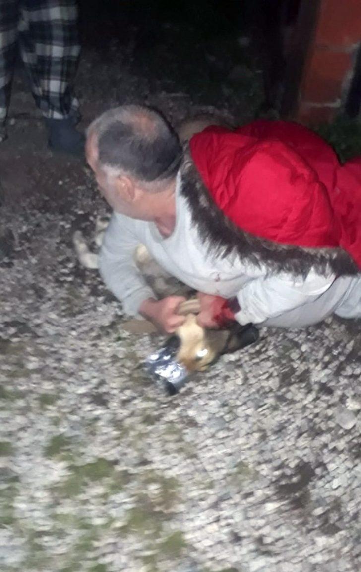 Köpeğin saldırdığı vatandaşı Jandarma kurtardı G1