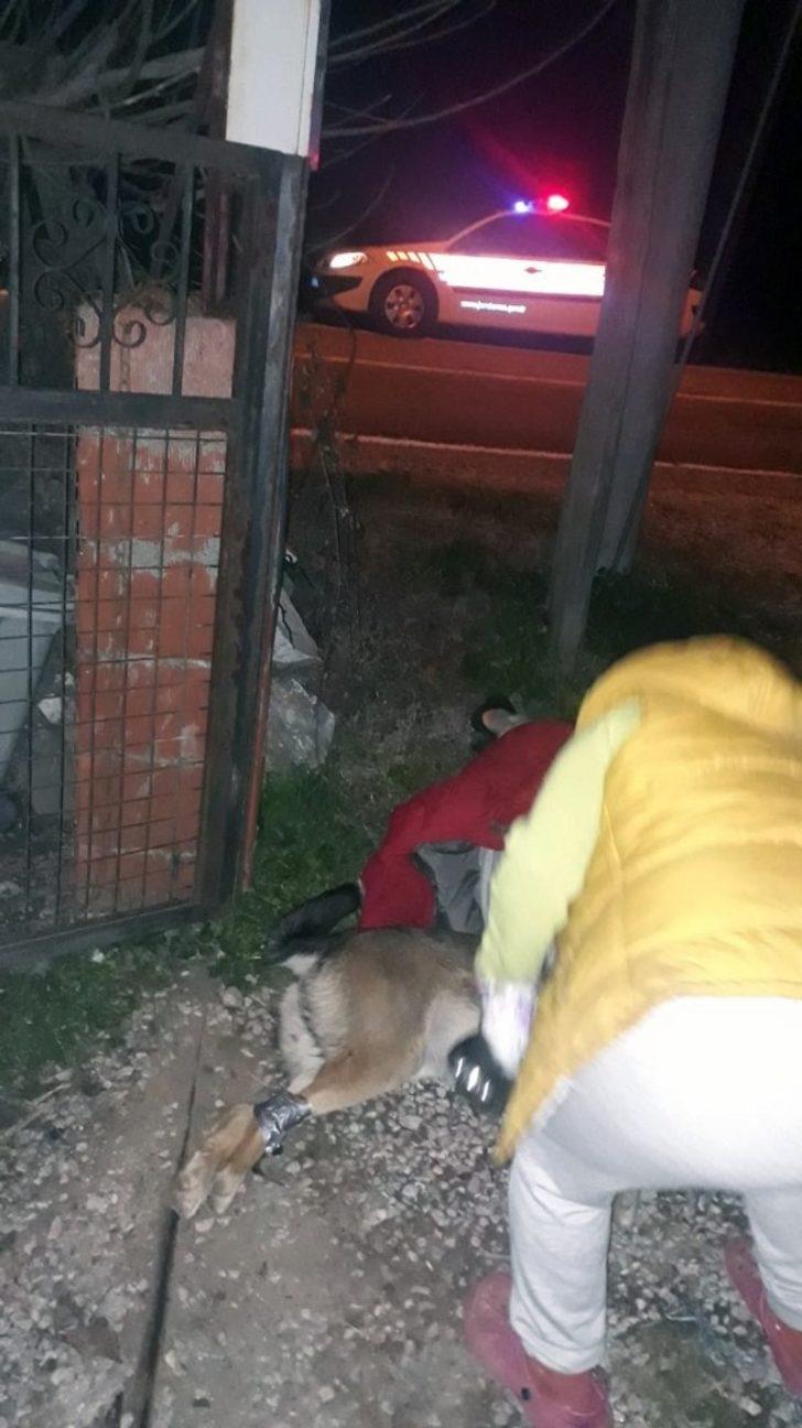 Köpeğin saldırdığı vatandaşı Jandarma kurtardı G3