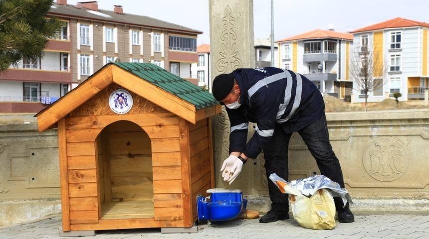 Erzincan&rsquo;da sokak hayvanları i&ccedil;in &uuml;retilen ahşap barınaklara mama bırakıldı