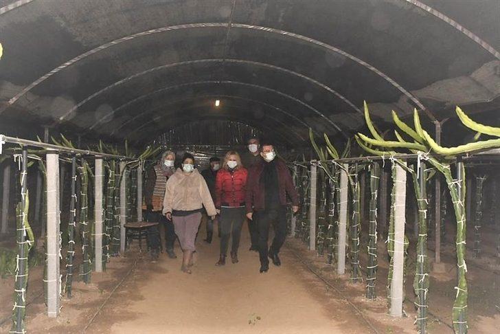 Kaymakam zirai don nöbeti tutan çiftçileri yalnız bırakmadı G2