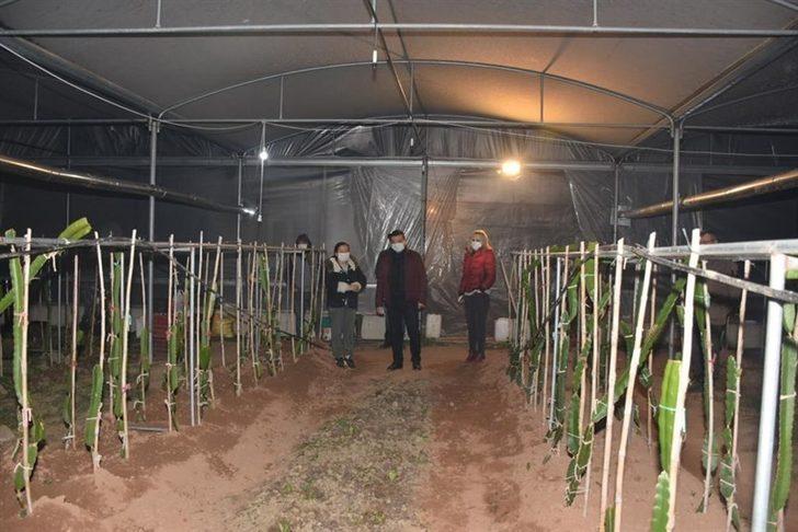 Kaymakam zirai don nöbeti tutan çiftçileri yalnız bırakmadı G3