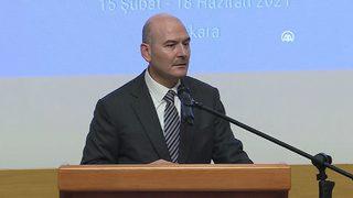 Bakan Soylu: Dedikleri gibi misafir etmediler, doğrudan işkence ettiler