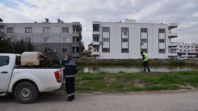 Ceyhan’da sinekle mücadele başladı