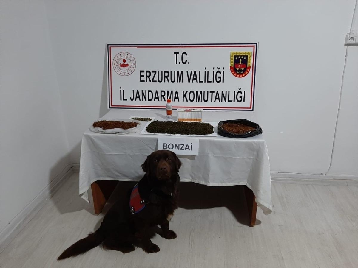Erzurum&rsquo;da yapılan operasyonlarda uyuşturucuya ge&ccedil;it verilmedi