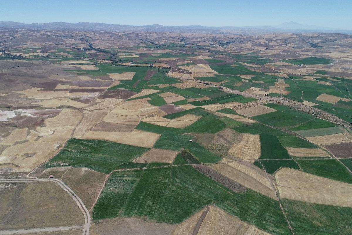 Altınyayla&rsquo;da arazi toplulaştırma &ccedil;alışmaları