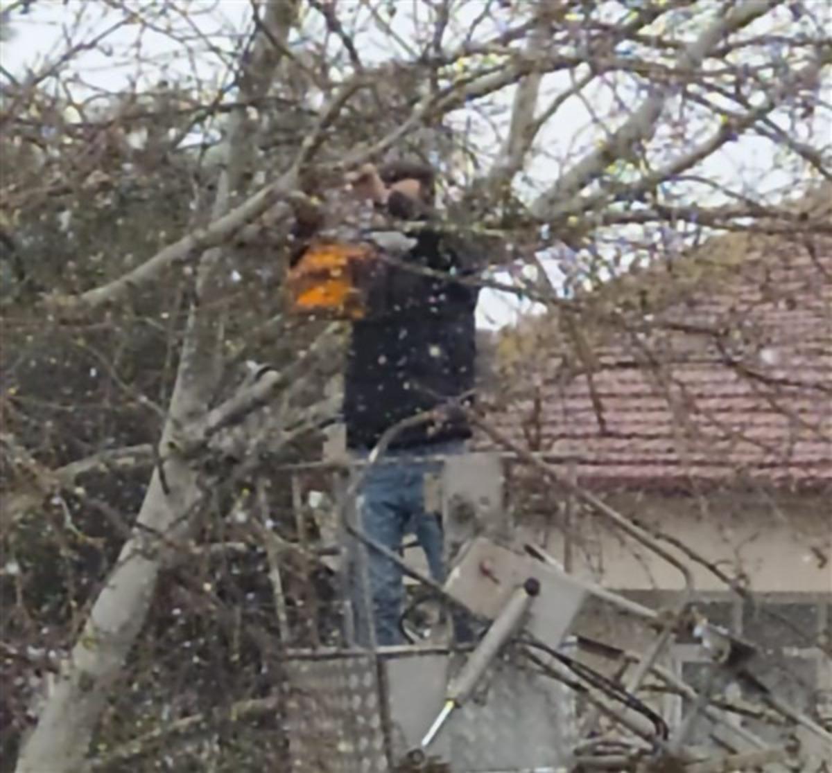 Osmaneli&rsquo;de kuşlar i&ccedil;in &uuml;retilen yuvalar ağa&ccedil;lara yerleştirildi