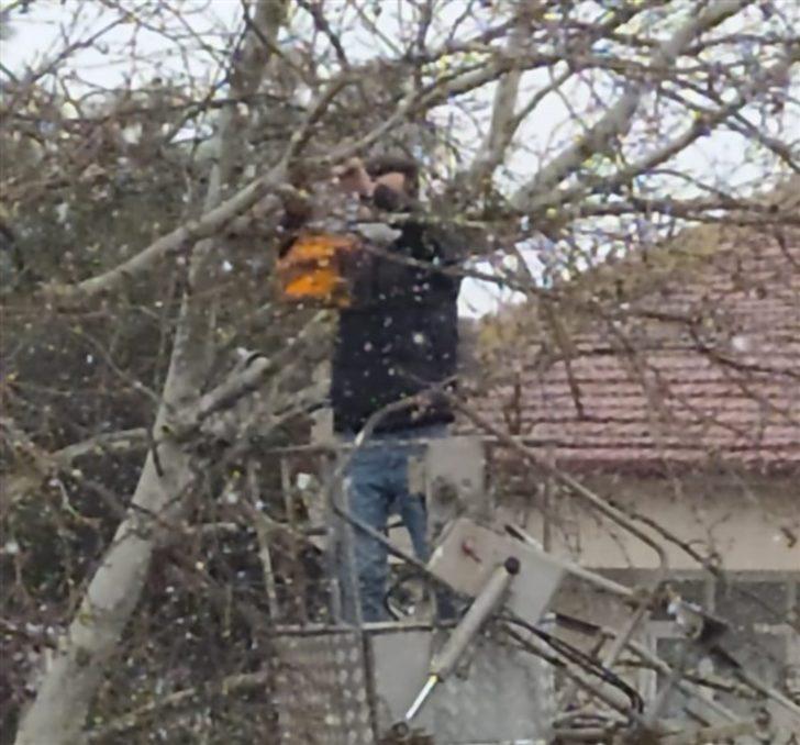 Osmaneli’de kuşlar için üretilen yuvalar ağaçlara yerleştirildi G1