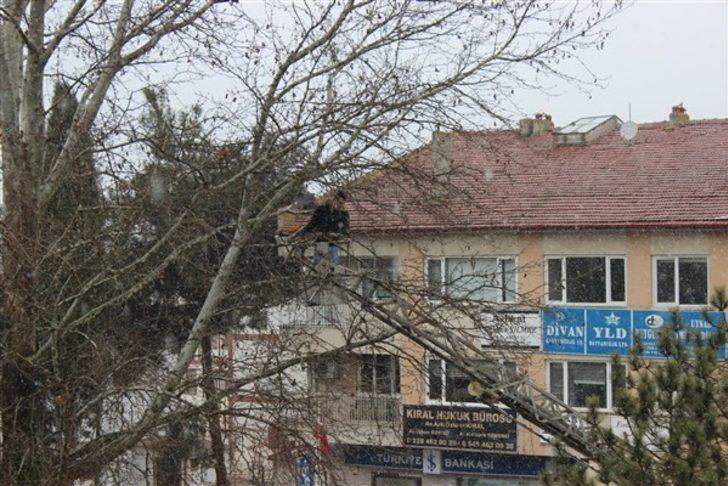 Osmaneli’de kuşlar için üretilen yuvalar ağaçlara yerleştirildi G2