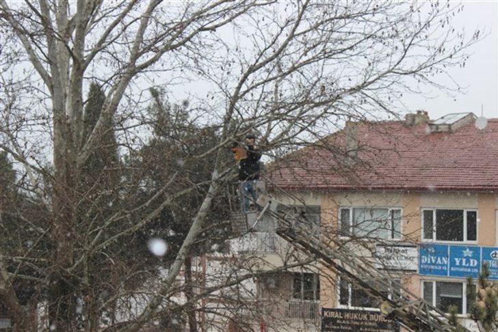 Osmaneli’de kuşlar için üretilen yuvalar ağaçlara yerleştirildi G4