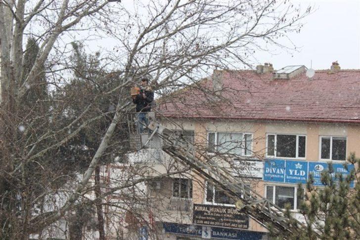 Osmaneli’de kuşlar için üretilen yuvalar ağaçlara yerleştirildi G5